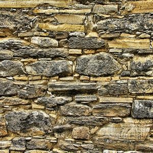 Meet your Posher, Steed